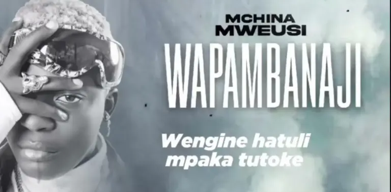 Wapambanaji