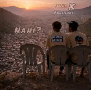 Pelzy Never Mind ft Kamanda pedeshee – Nani