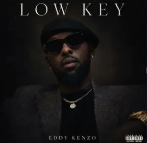 Eddy Kenzo – Low Key