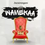 Jacki Mngoni – Wamekaa (Prod. Mr T Touch)