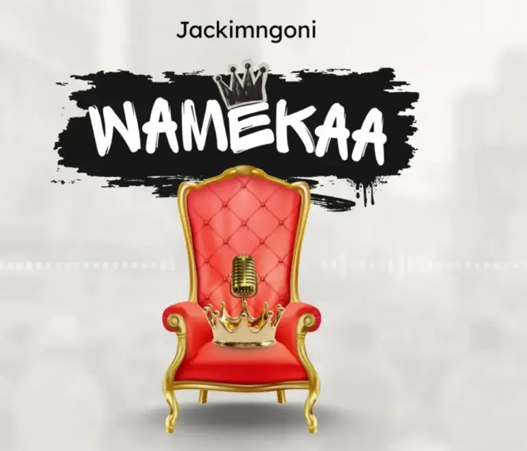 Wamekaa (Prod. Mr T Touch)