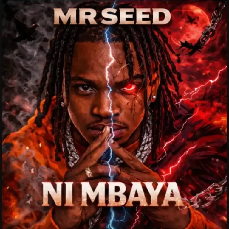 Ni Mbaya