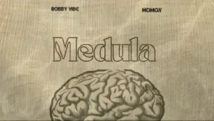 Robby Vibe ft Momox KE – Medula