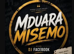 Mduara Misemo