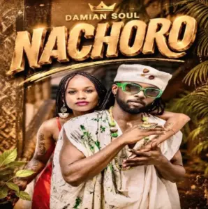 Nachoro (Remix)