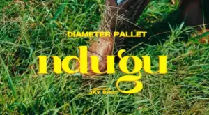 Diameter Pallet – Ndugu