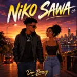 Niko Sawa
