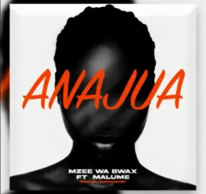 Mzee Wa Bwax ft Malume – Anajua