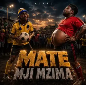 Ndaro – Mate Mji Mzima