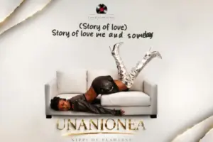 Nippi De Flawless – Unanionea