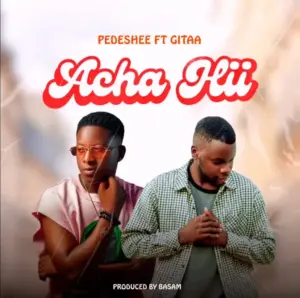 Pedeshee Mweusi ft Gitaa – Acha Hii