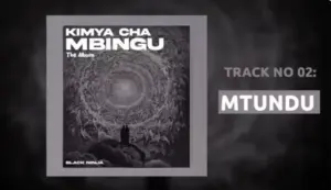 Mtundu (Punguani)